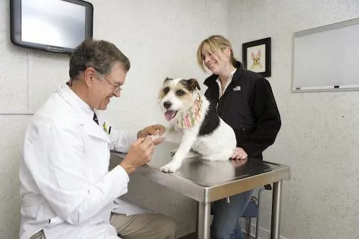 Rhinebeck Animal Hospital 12