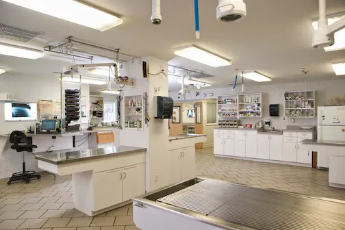 Rhinebeck Animal Hospital 12