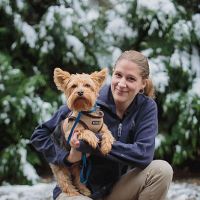 Rhinebeck Animal Hospital ico