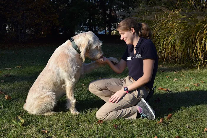 Rhinebeck Animal Hospital 12