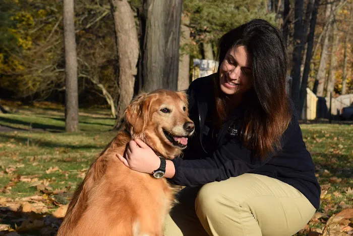 Rhinebeck Animal Hospital 12