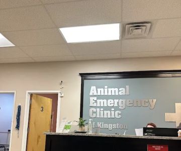 Animal Emergency Clinic of The Hudson Valley