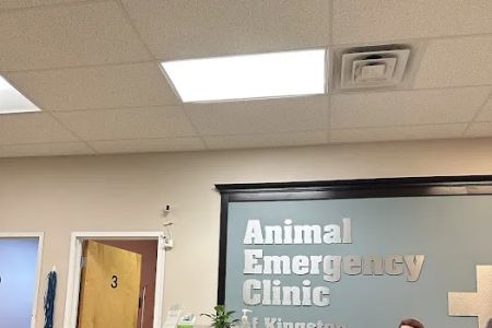Animal Emergency Clinic of The Hudson Valley