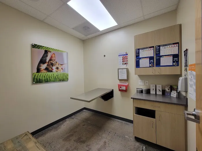 Vetco Total Care Animal Hospital 2