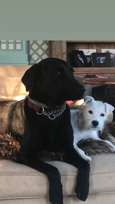 Country Comfort Animal Hospital 12
