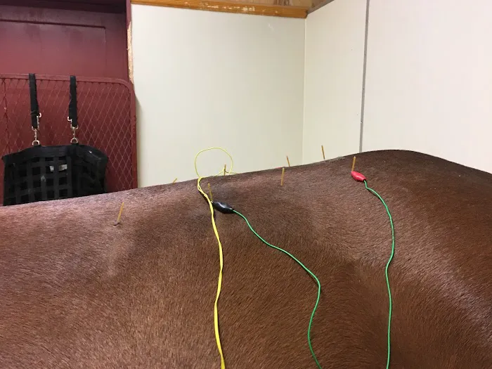 Rhinebeck Equine, LLP 12