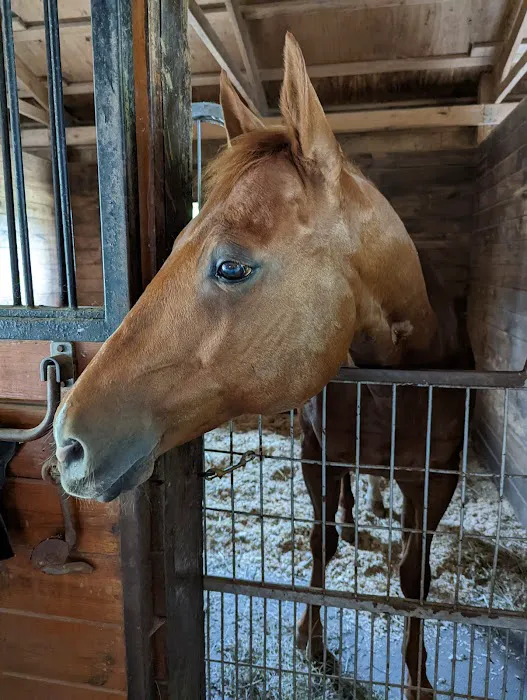 Rhinebeck Equine, LLP 12