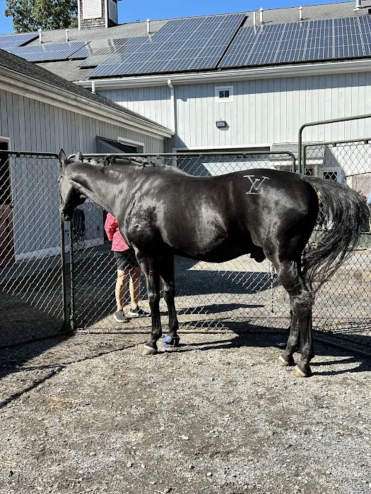 Rhinebeck Equine, LLP 12