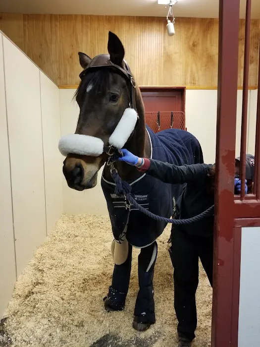 Rhinebeck Equine, LLP 12
