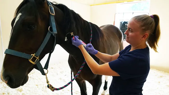 Rhinebeck Equine, LLP 12