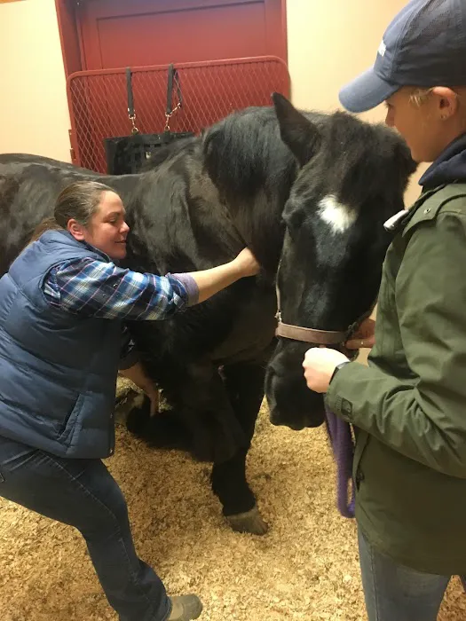 Rhinebeck Equine, LLP 12