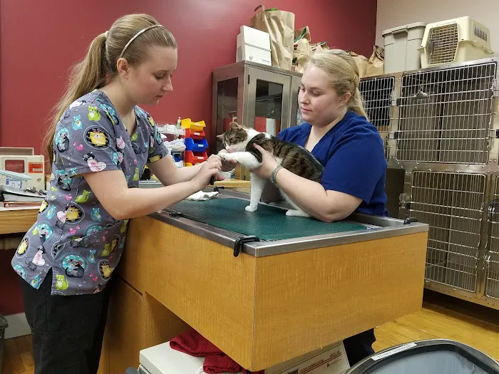 Argos Animal Hospital 5