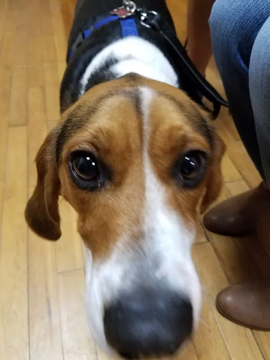 Argos Animal Hospital 3