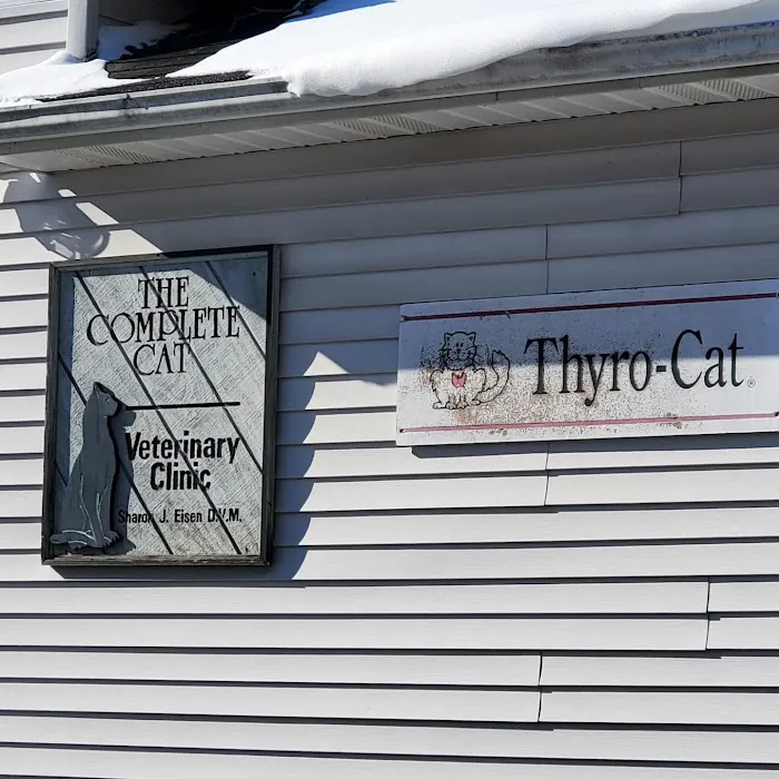 Complete Cat Veterinary Clinic 12