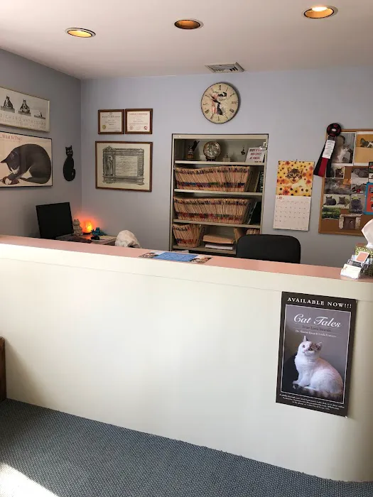 Complete Cat Veterinary Clinic 12