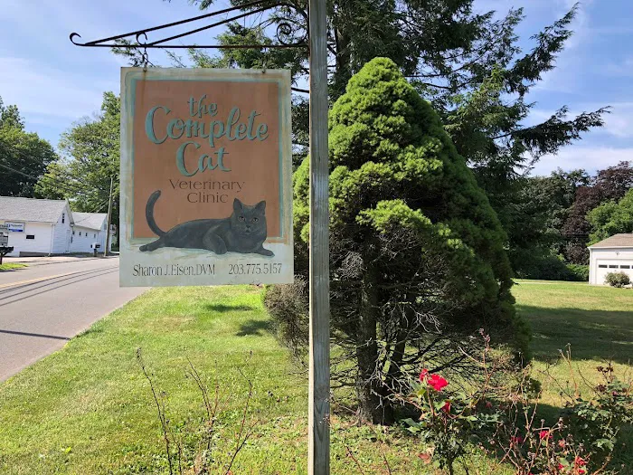 Complete Cat Veterinary Clinic 12