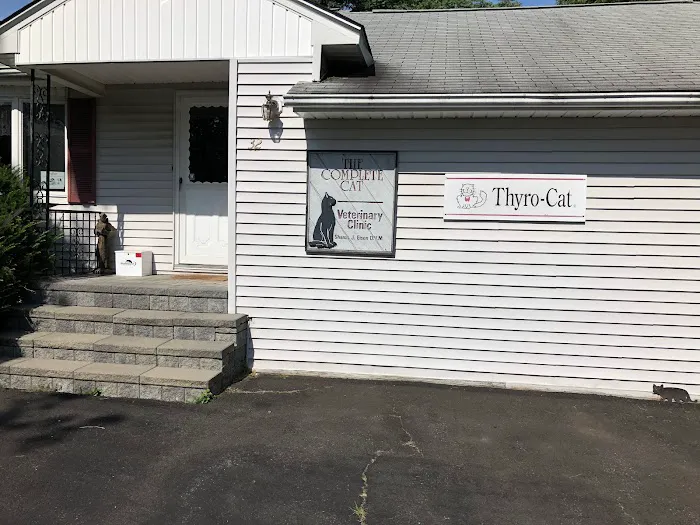 Complete Cat Veterinary Clinic 12