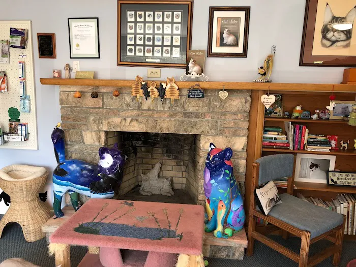 Complete Cat Veterinary Clinic 12