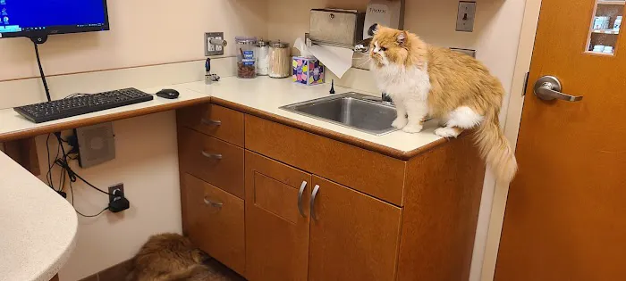Brookfield Animal Hospital 12