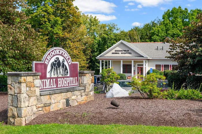 Brookfield Animal Hospital 12