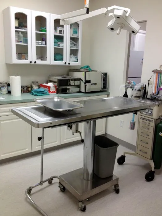 Cat Clinic Feline Health Center 12