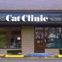 Cat Clinic Feline Health Center ico