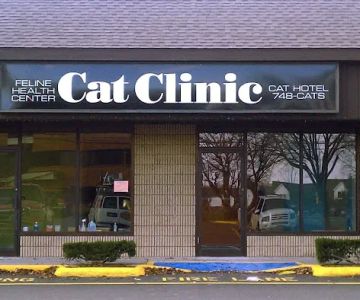 Cat Clinic Feline Health Center