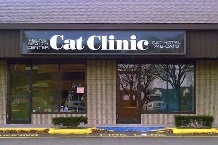 Cat Clinic Feline Health Center
