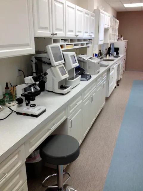 Cat Clinic Feline Health Center 12