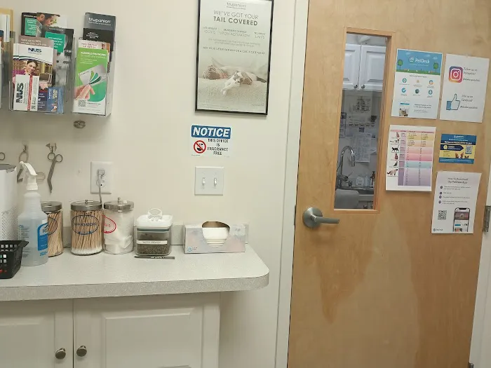 Cat Clinic Feline Health Center 12