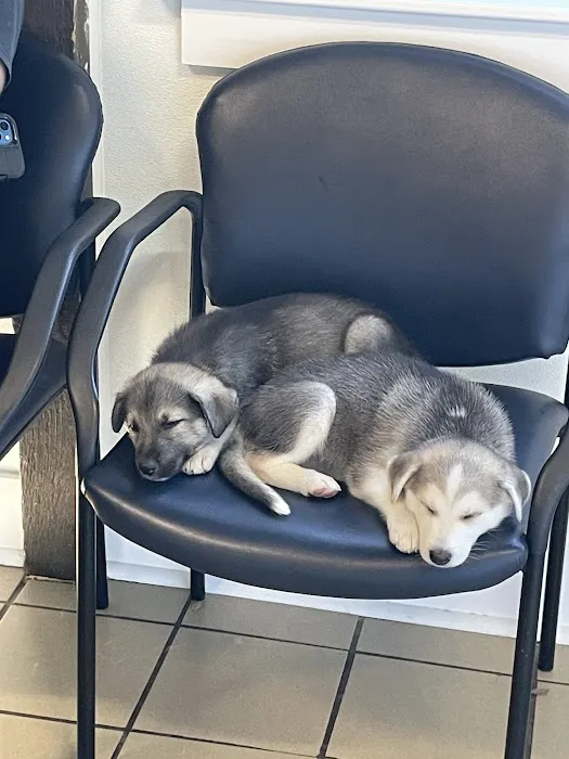 Candlewood Animal Hospital 4