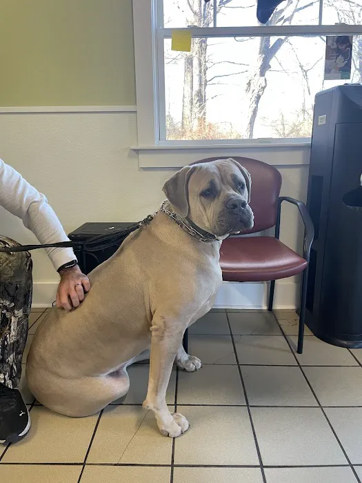 Candlewood Animal Hospital 3