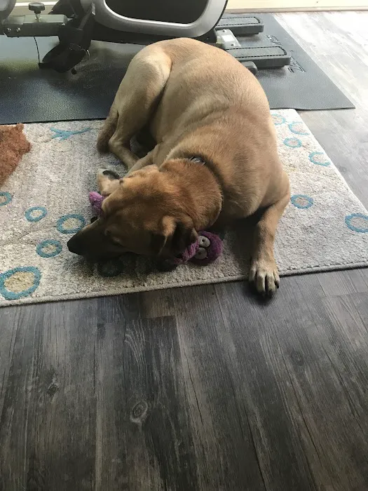 Candlewood Animal Hospital 8