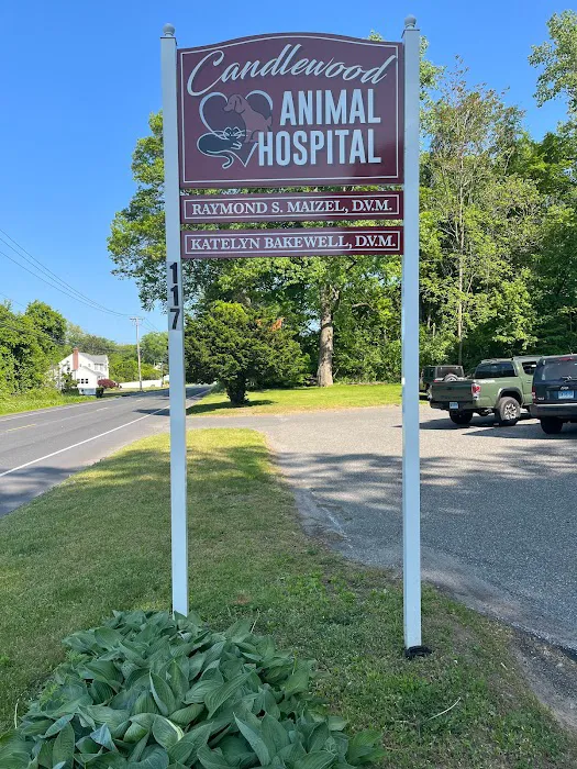 Candlewood Animal Hospital 9