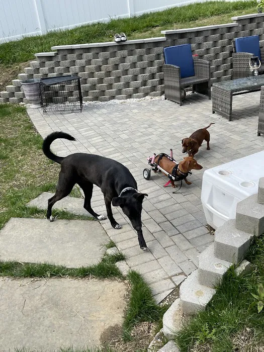 Candlewood Animal Hospital 5