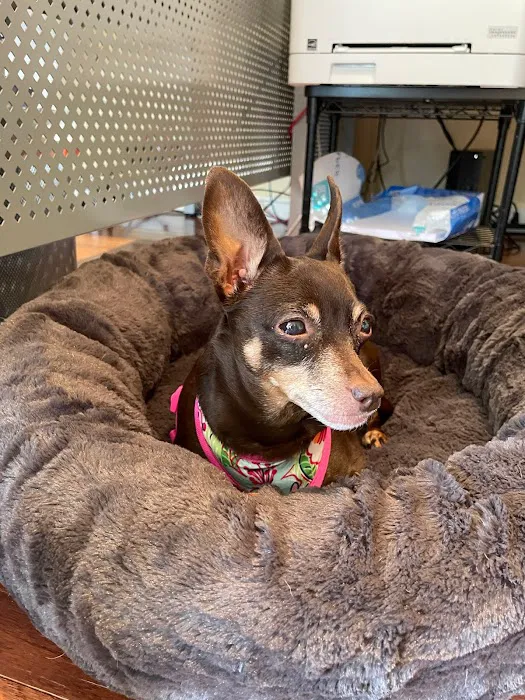 Roxbury Animal Clinic 9