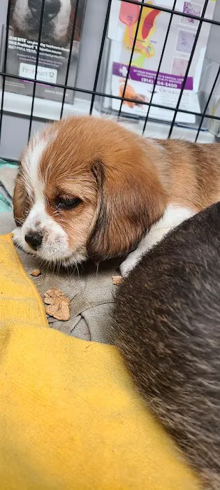 Roxbury Animal Clinic 7