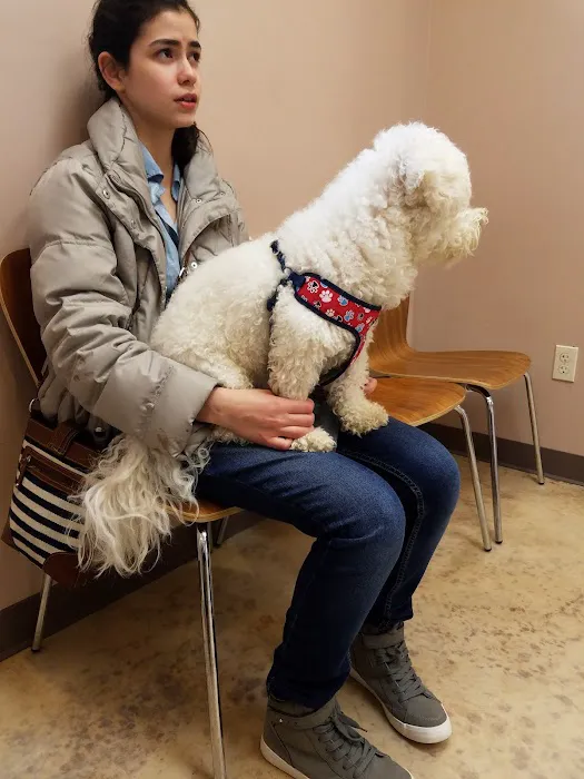 Plumtrees Animal Hospital: Baff Wesley A DVM 12