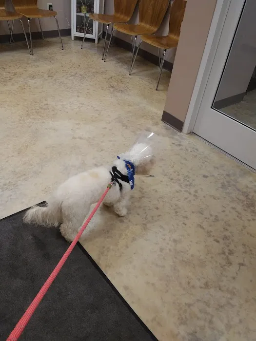 Plumtrees Animal Hospital 12
