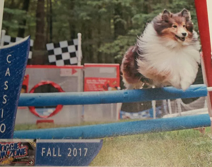 Ridgefield Veterinary Center 12