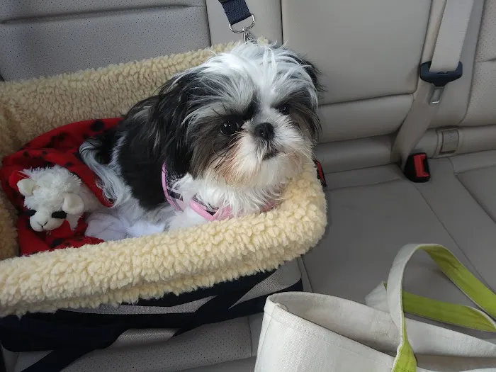 Bethel Village Square Animal Hospital 12
