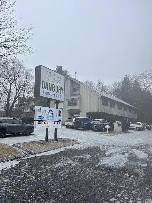 Danbury Animal Hospital 12