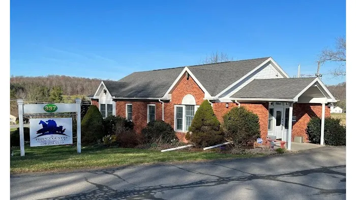 Town & Country Veterinary Services, PC 6