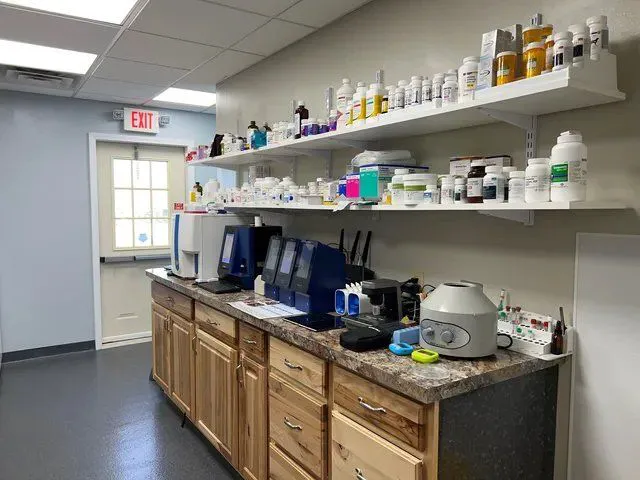 Town & Country Veterinary Services, PC 9
