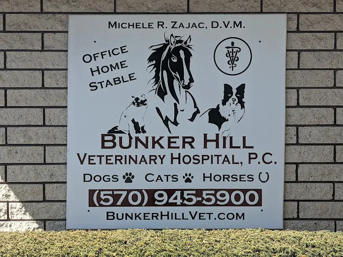 Bunker Hill Veterinary Hospital, PC 1