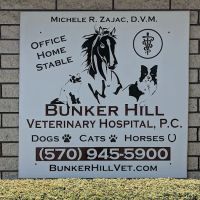 Bunker Hill Veterinary Hospital, PC ico