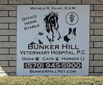 Bunker Hill Veterinary Hospital, PC