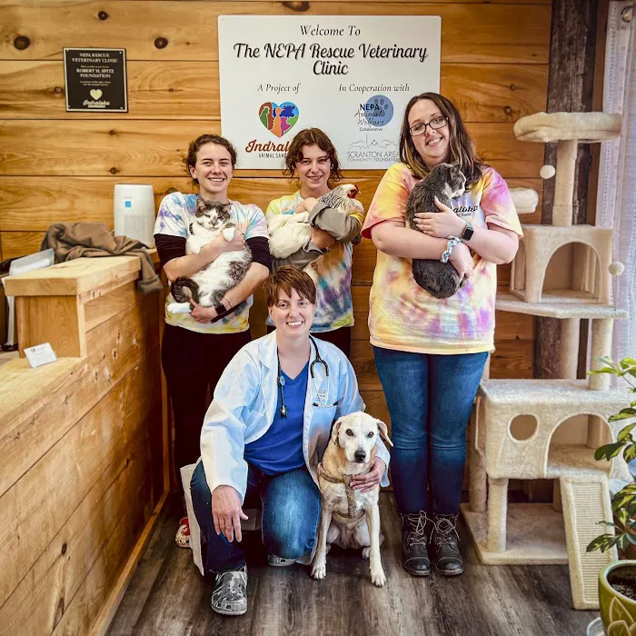 The NEPA Rescue Veterinary Clinic at Indraloka 9