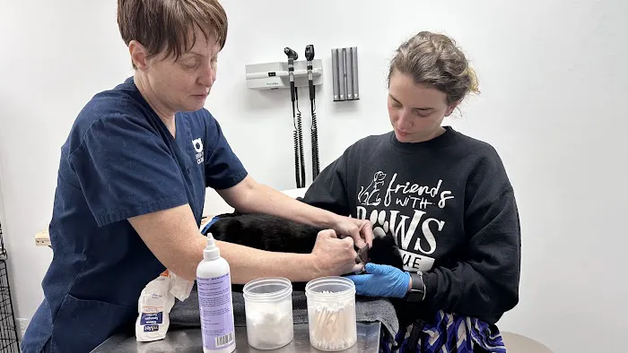 The NEPA Rescue Veterinary Clinic at Indraloka 8