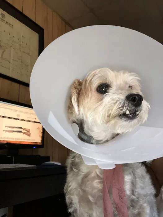 Old Forge Animal Hospital 4